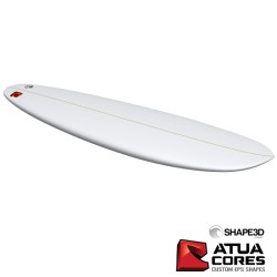 PAIN PRÉ-SHAPÉ TURNCOAT 9'2 RWP