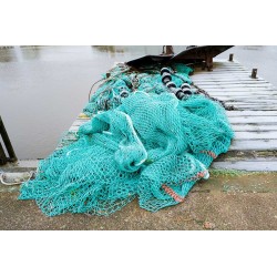 NOMADS SURFING THRUSTER (R)évolution FCS